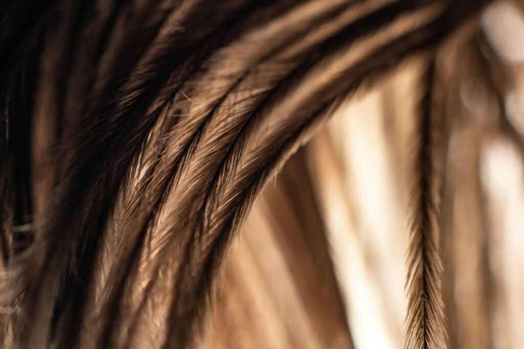 Frizz Reduction Serum: Your Last Bottle Standing Between Chaos and Silky Hair